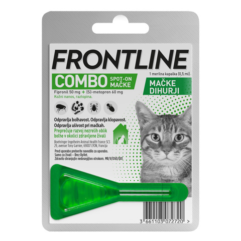 Frontline Combo cat